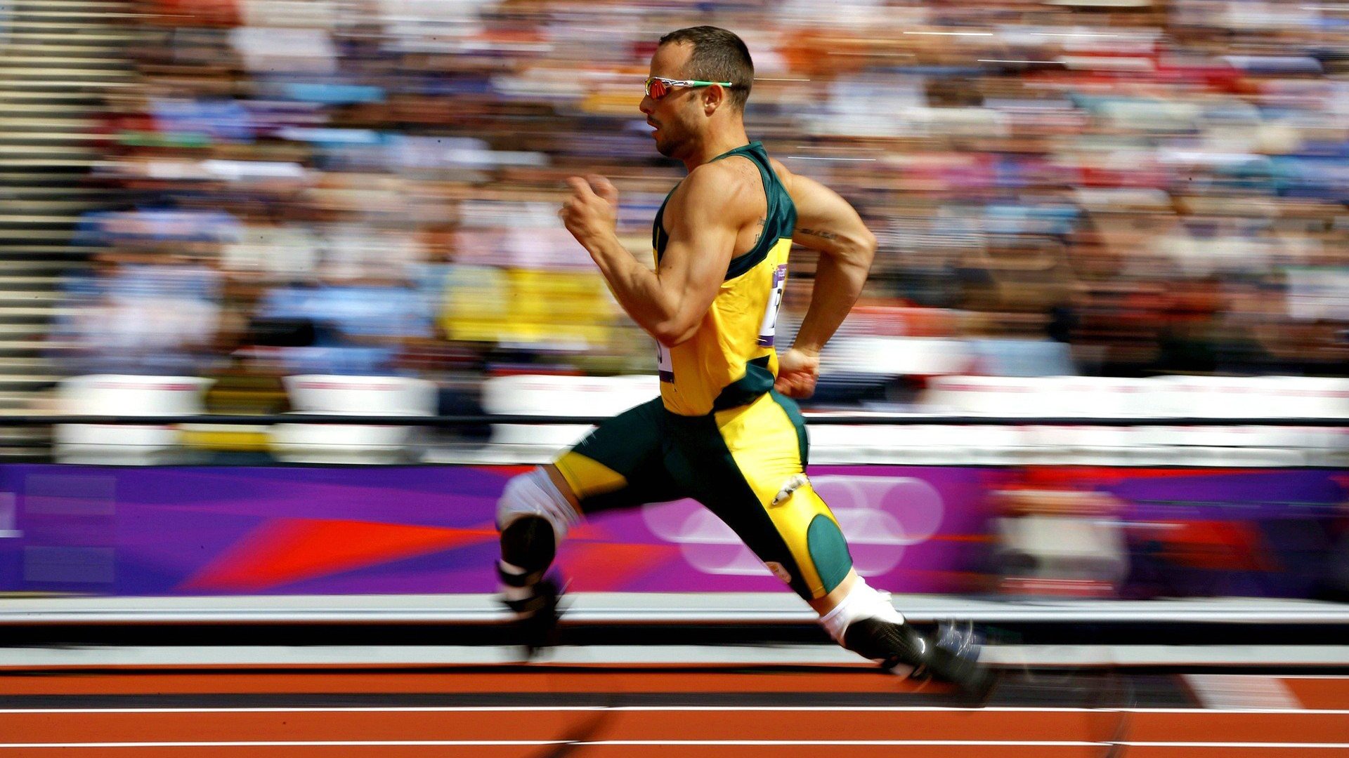 大型骑行节，绿色出行焕发新活力，绿色骑行环保先行